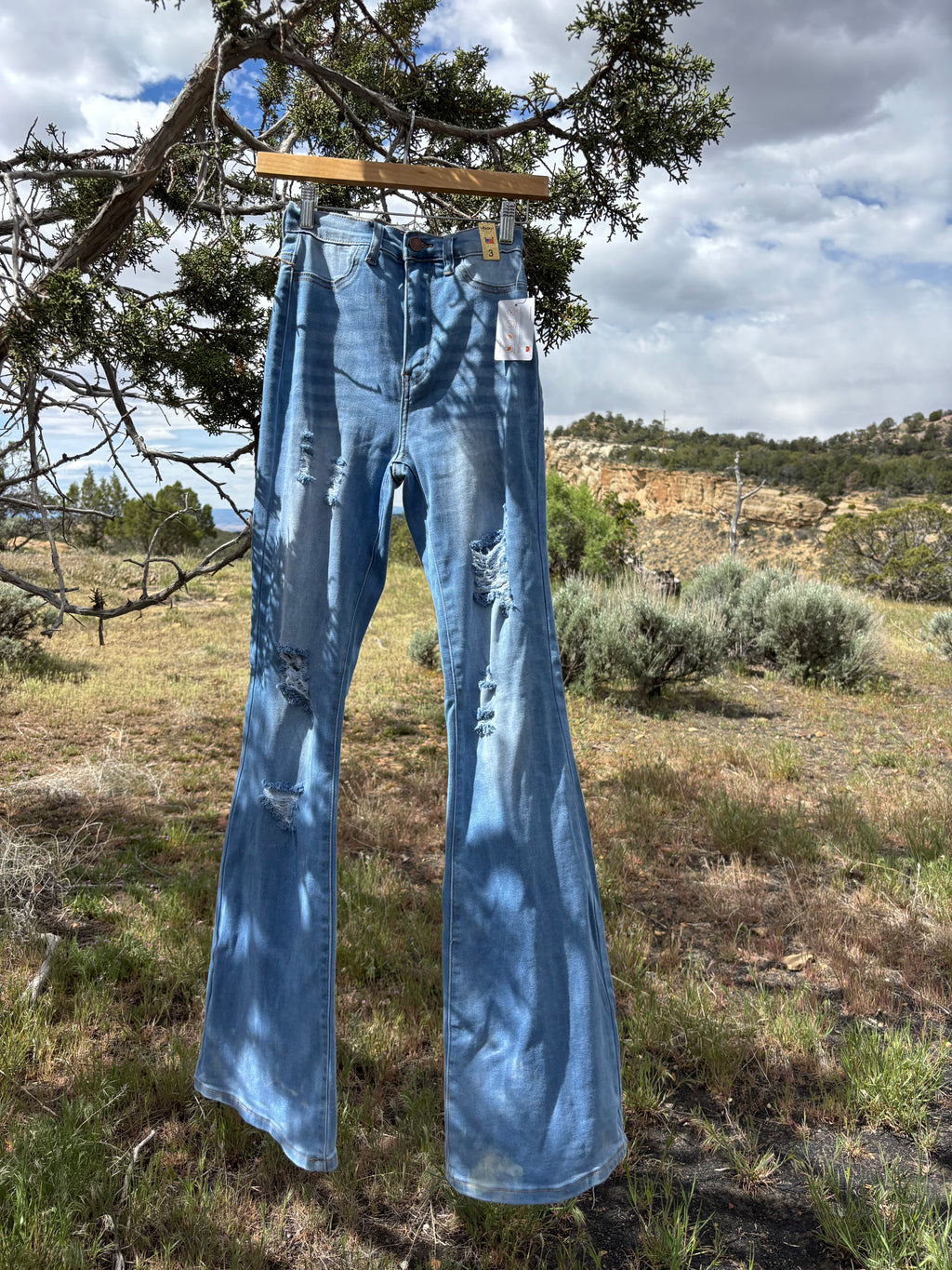 Bluebell Breeze Flares
